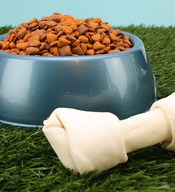 imgi 15 comida de perro