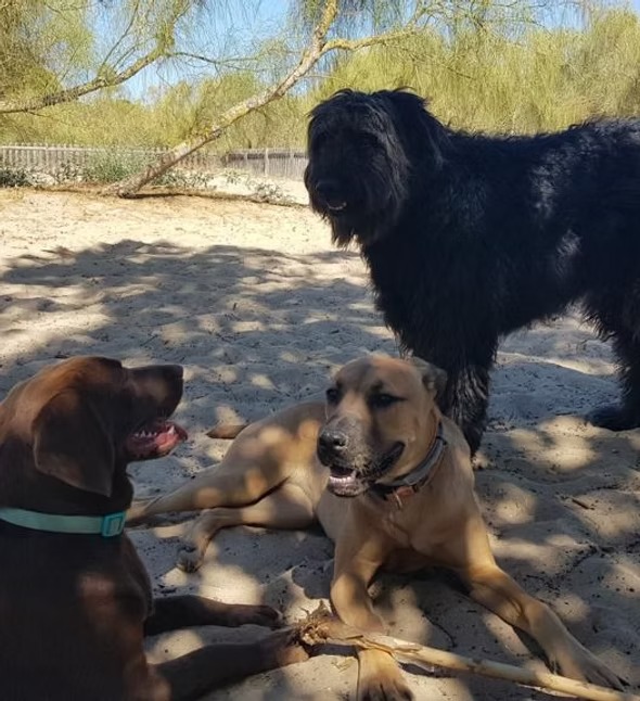 imgi 18 WhatsApp Image 2022 11 14 at 11 23 43