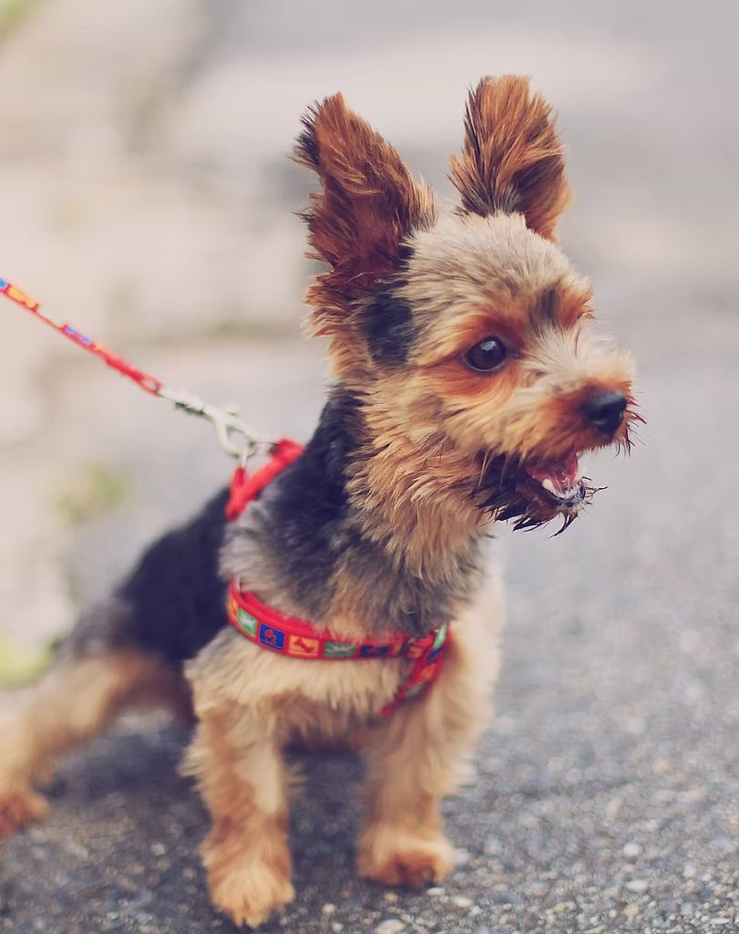 imgi 4 11062b 7b5d1b3976694b59bd6f3617cab288f1mv2 d 5616 3744 s 4 2